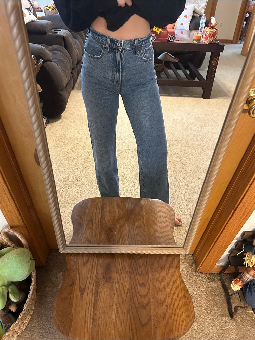 Abercrombie & Fitch The Loose High Rise Size 25 Regular